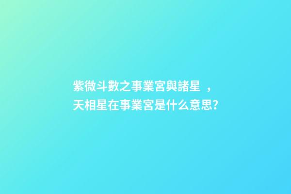 紫微斗數之事業宮與諸星，天相星在事業宮是什么意思？